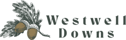 Westwell Downs Shepherd Huts